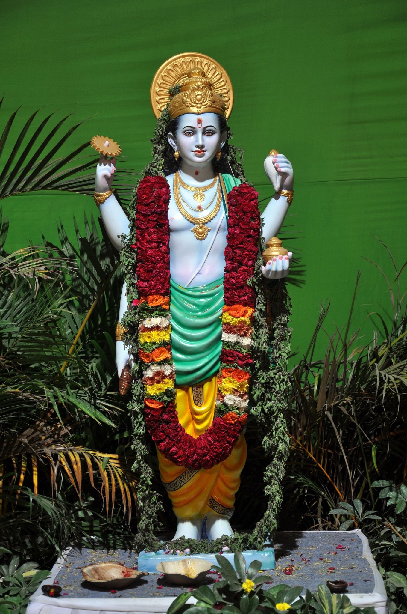 Ayurveda & Wellness