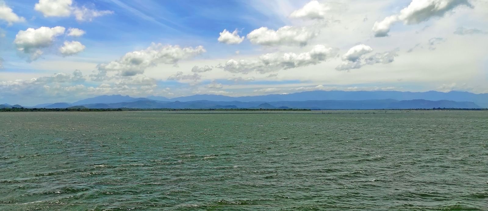 Wildlife Safari & Whale Watching